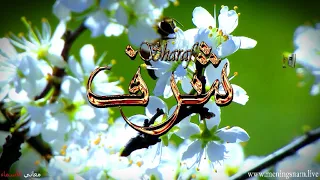 معنى اسم  شرف وصفات حامل و حاملة هذا الاسم         دندنها