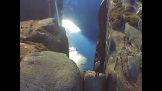 يارب صل علي النبي واله دندنها