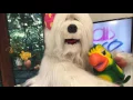 priscila tv colosso- mamãe passou açúcar em mim