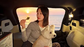 수도권 1시간 거리에 이런 곳이?🤯 쑥 뜯고 바지락 캐서 자급자족! 솔로차박!🚗 스포티지차박 / 당진차박 / 당진캠핑 / 난지도차박 / 난지도캠핑 썸네일