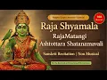 Lagu Magha Gupt Navratri | RajaShyamala Ashtottara Shatanamavali | 108 Sacred Names of RajMatangi