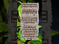 Download Lagu Selamat Hari Ibu