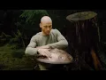 Lagu Forest Meditation | 1 hour handpan music | Malte Marten
