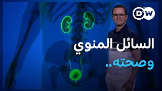 كل ما يجب أن تعرفه عن السائل المنوي وصحته   صحة الرجال دندنها