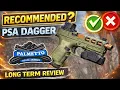 Recommended PSA Dagger Long Term Review