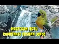 Lagu Kombinasi sirtu dan sikatan londo, untuk masteran sirtu lolohan (cepat masuk dan mudah di tirukan)