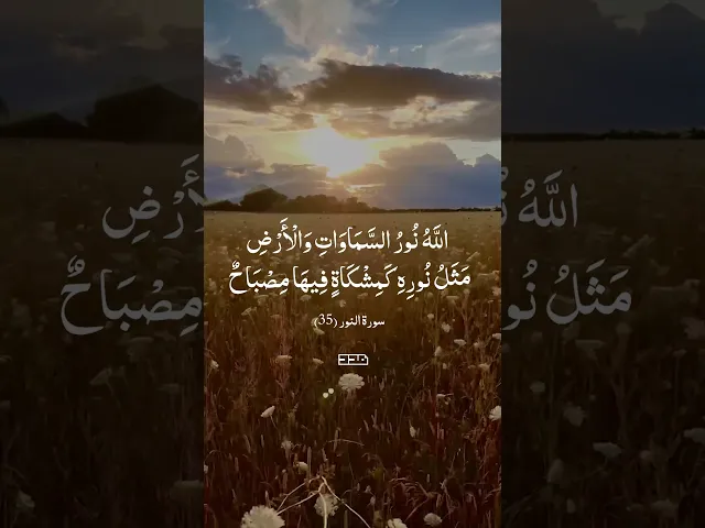 بِسْمِ اللَّهِ الرَّحْمَنِ الرَّحِيم✨#سورة_النور#تلاوة #قرآن #آيات