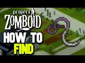 How to Find a Suture Needle in Project Zomboid