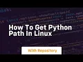 how to get python path in linux