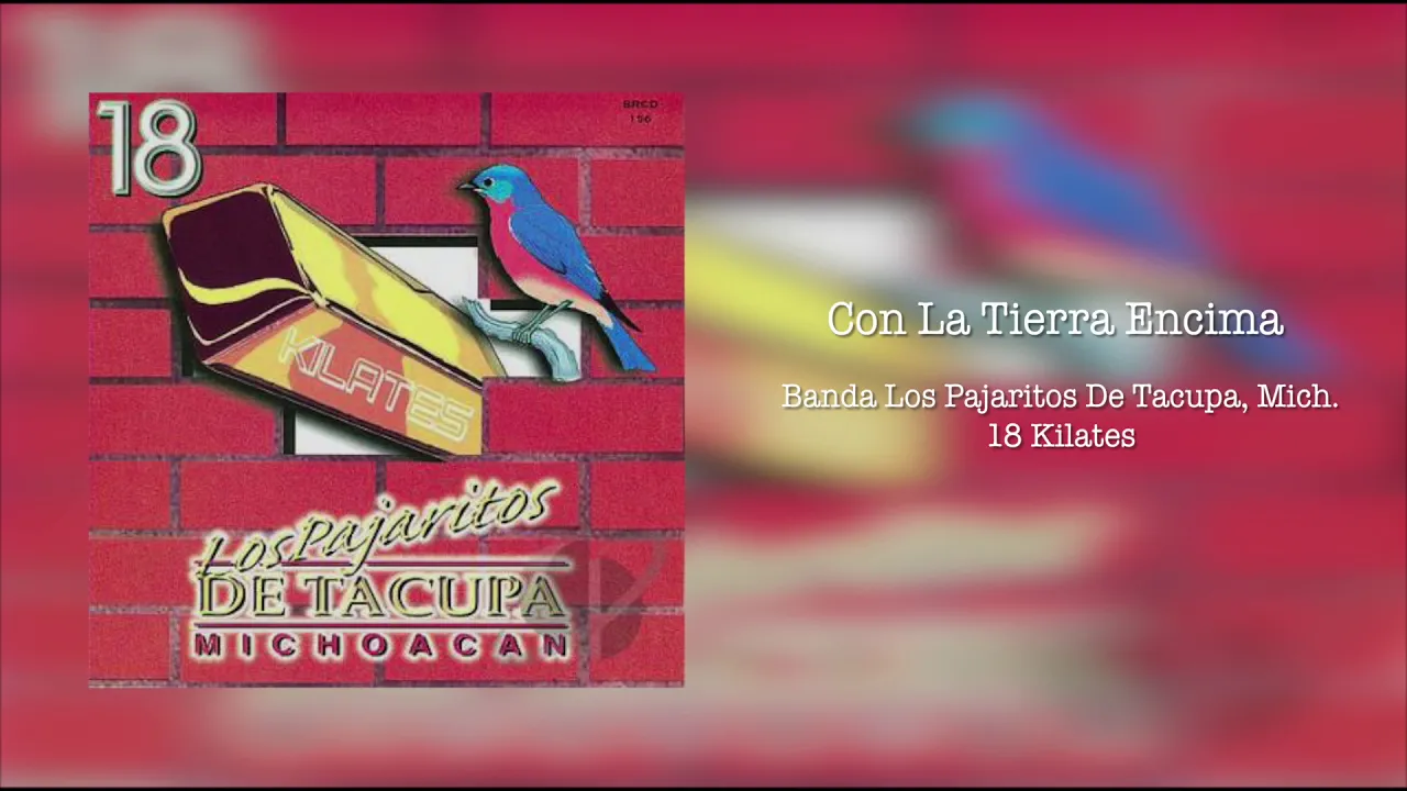 Los Pajaritos De Tacupa, Mich – Con La Tierra Encima (2008) Los Pajaritos De Tacupa, Mich – Con La Tierra Encima (2008)