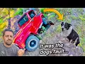 Download Lagu Jeep in de kreek en klaar om te gaan 😳