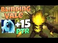 15 Blinding Vale Oracle Holy Priest slightly over time perf run until last boss trash