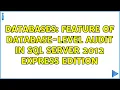 Databases Feature of database-level audit in SQL Server 2012 Express edition 2 Solutions