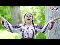 Lagu Roberta Buzurin - Venii de la Olt incoa