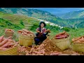 Download Lagu Harvest Japanese Sweet Potatoes: Big, Sweet Goes To Market Sell – Sold Out Fast, Weeding Vegetables.