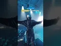 Download Lagu Alan Walker - Alone pt 2 live performance at Kolkata #alanwalkerconcert #walkerworld #indiatour