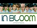 Download Lagu ZEROBASEONE In Bloom Lyrics (제로베이스원 In Bloom 가사)(Color Coded Lyrics)