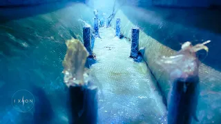 Catalina Smile Fix – Part 3 – Ep. 41