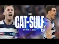 Download Lagu Time Cat-Sule | Epic Cats Comeback Against Pies MP3