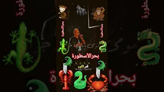 عمرو دياب تامر حسني حسين الجسمي بلوم نفسي بحرالأسطورة ترند تويترا مصر طربيات تصميمي2025 