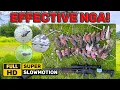 Lagu ⨁ EFFECTIVE NGA! - AIRGUN HUNTING - WILD DOVES