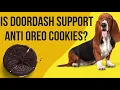 Is DoorDash Dasher Support REALLY Support