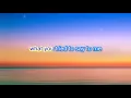 Don McLean - Vincent (Lyrics)