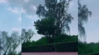 مسافر فالطريق وحدك معنتش طفل زي زمان 