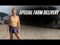 Download Lagu Hot Days, Big Spraying + A Special Farm Delivery?!