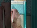 6x6 paper hack for Library cards