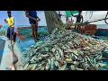 Download Lagu AMAZING! 🤩 We Caught Tons of Mackerel and Trevally Fish in a Single Catch! 😃WOW!\
