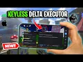 Delta Executor Mobile Tutorial How to get Roblox Delta Executor on iOS Android New Update