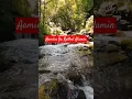 Download Lagu Doaku Hari Ini, Aamin Ya Rabbal Alamin