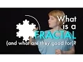 What Is A Fractal and what are they good for
