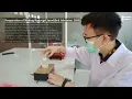 Hydrogel Making Process -CYS Research