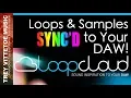 LOOPCLOUD Loops and Samples Sync d to Your DAW