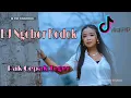 Download Lagu DJ NGOBOR KODOK - Evi Shandra (REMIX WMP)