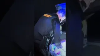 Busted