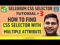 Selenium CSS Selector - CSS Selector with Multiple Attributes