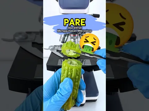 PASTI KAGET! ✨ Menemukan "Lava Hijau" di Balik Pahitnya Pare! 🧪🔬