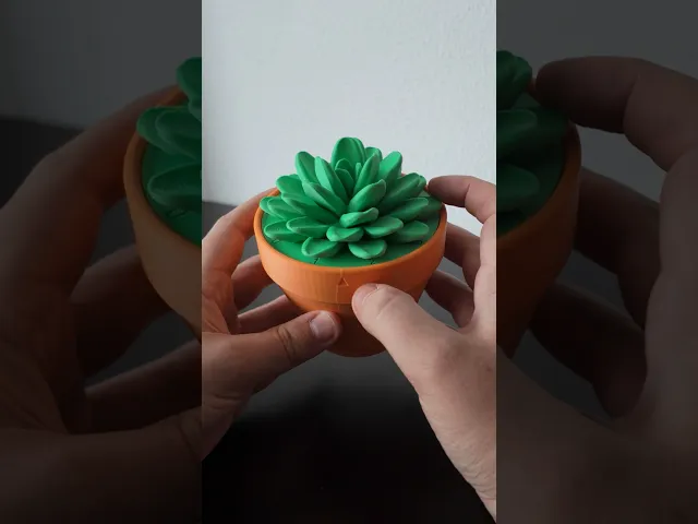 Vaulty Plant - Secret Vault Succulant Plant video thumbnail
