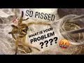 WATERING my TARANTULAS Part 6