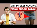 Download Lagu CIRI CIRI INFEKSI SALURAN KEMIH YANG SUDAH PARAH - DOKTER SADDAM ISMAIL
