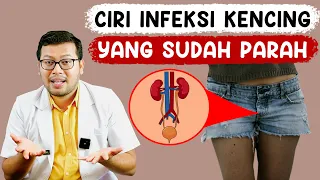 Download CIRI CIRI INFEKSI SALURAN KEMIH YANG SUDAH PARAH - DOKTER SADDAM ISMAIL MP3