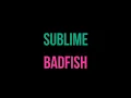 Sublime - Badfish [Karaoke]