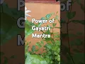Download Lagu 🙏💕Divine strength of a Mantra#Atharva Veda # Gayatri mantra 🙏