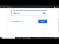 Show and hide your password Delphi