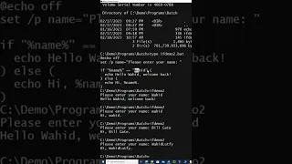 Windows Batch Script The IF statement Example