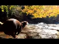 Super Otter Aty Running 6 km Without Hitch Otter Life Day 804