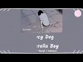 Saucy Dog - Cinderella Boy (シンデレラボーイ) | LIRIK KANJI/ROMAJI/INDONESIA